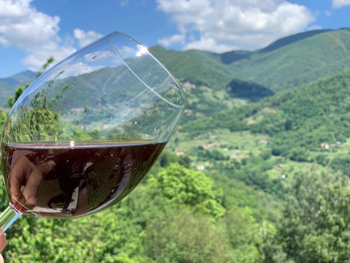 Casa Emma Fiattone In Garfagnana Villa Ngoại thất bức ảnh